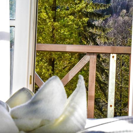 Villa Wilisch Amtsberg Екстериор снимка
